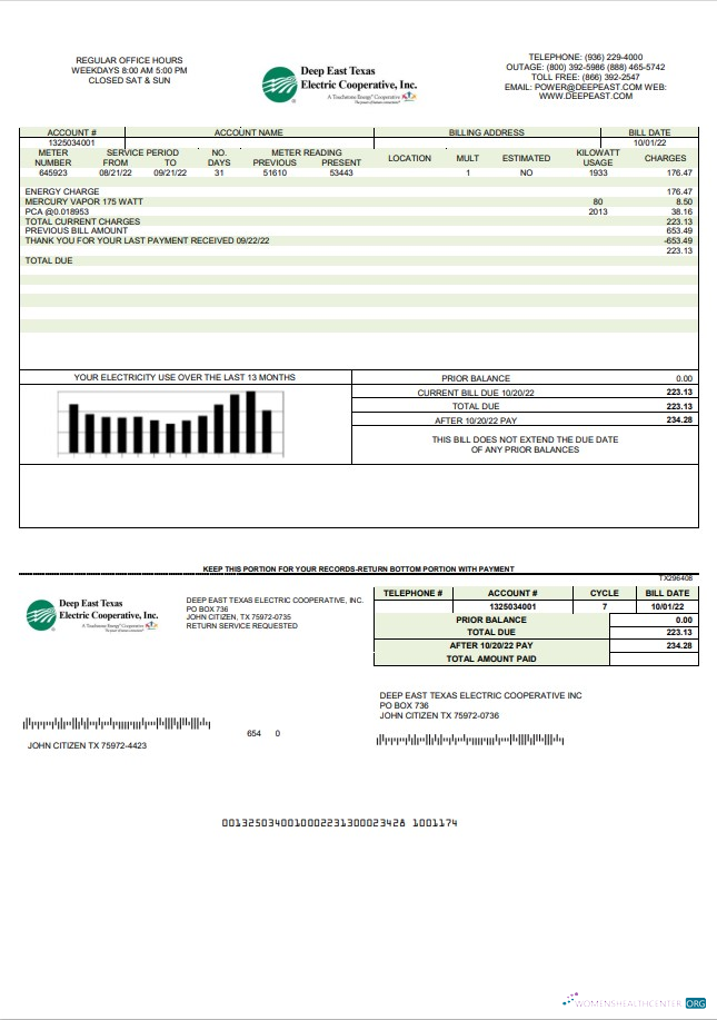 download USA Deep East Texas Electric utility bill template in Word and PDF format PDF template
